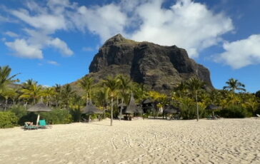 featured 3591776 364x230