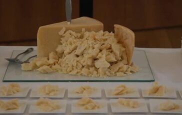 featured 3591915 364x230