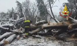 featured 3591917 265x160