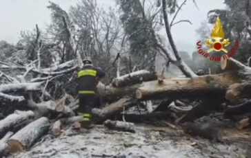 featured 3591917 364x230