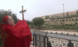 featured 3592646 265x160