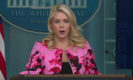 featured 3593071 265x160