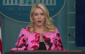 featured 3593071 364x230