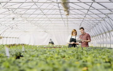 featured 3593346 364x230