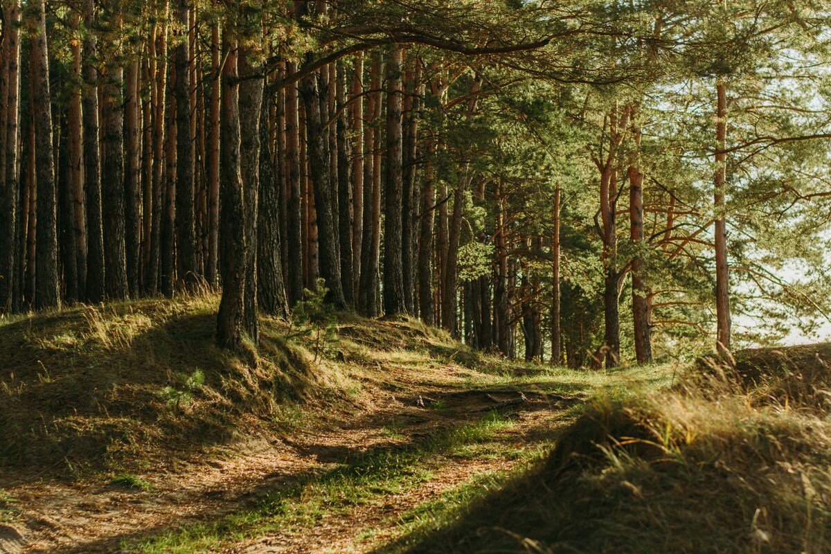Famiglia nel bosco, l'annuncio inaspettato di Catherine: "Il nostro futuro è altrove"