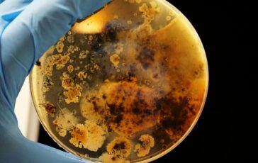 conan batterio marte