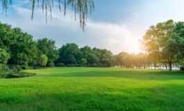 primo giorno di primavera 2026