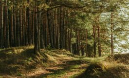 famiglia nel bosco sciopero fame