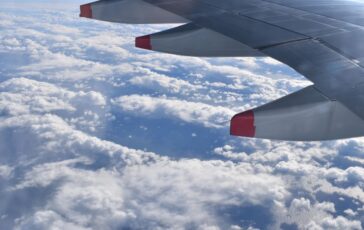 studenti dubai malpensa