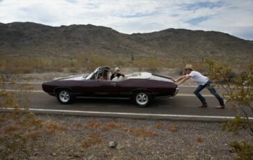 immagine 2026 03 10 131338 364x230