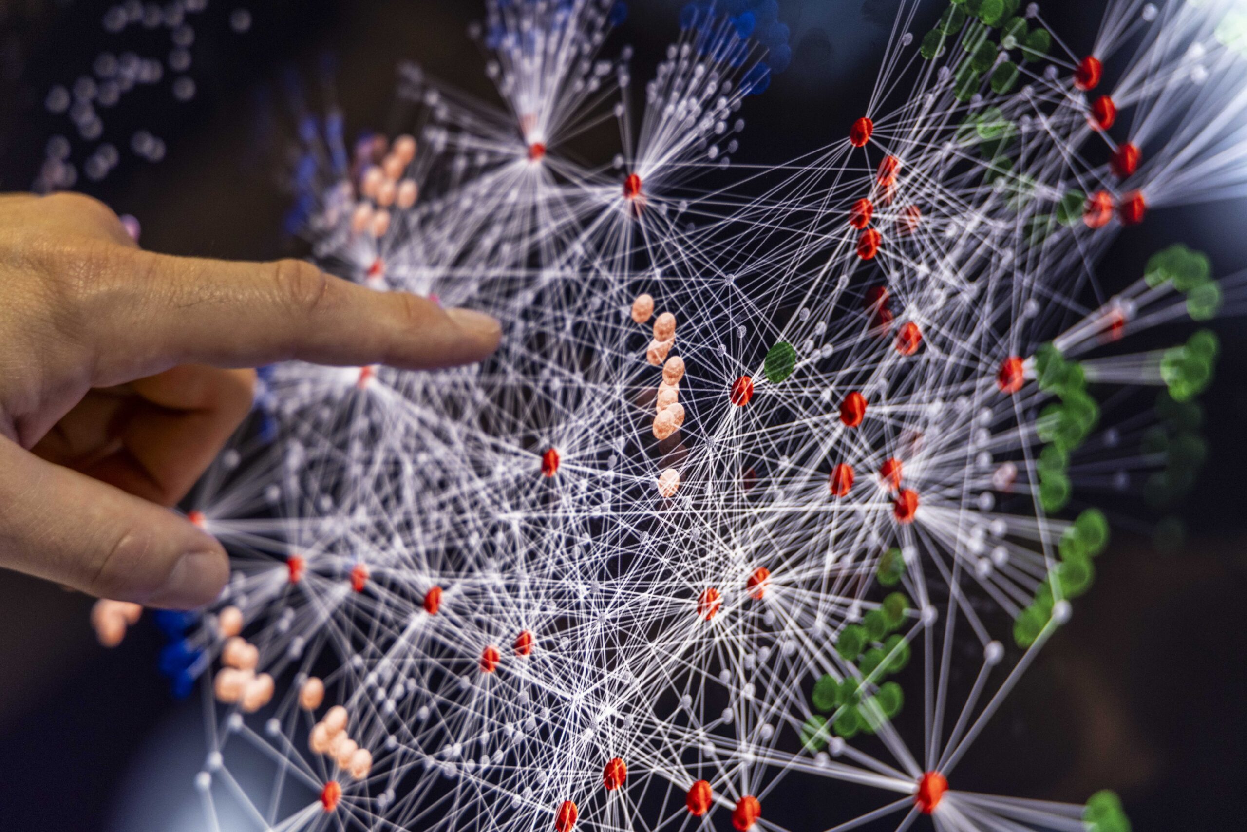 kobi monkeys video lab scaled