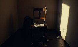 leo gassmann e la ballad naturale significato percorso e reazioni 1772379399 265x160