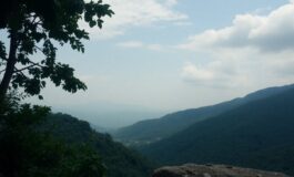 perche la narrativa globale legittima la violenza contro i leader e cosa cambia per leuropa 1773428989 265x160