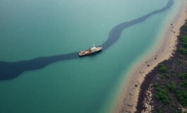 perdita di petrolio nel golfo del messico raggiunge riserve naturali e uccide specie marine 1774607385 265x160