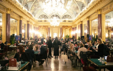 rise day 2 1 364x230