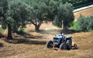 agricoltura aperta misura generazione terra di ismea 120 milioni a giovani per acquisto terreni 2