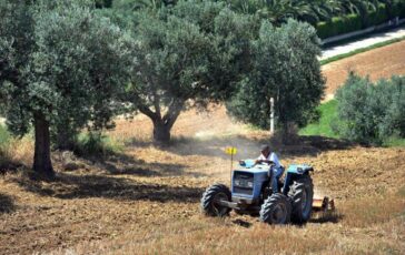 Agricoltura aperta misura Generazione Terra di Ismea 120 milioni a giovani per acquisto terreni 364x230