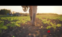 Agricoltura presentato a Roma il Manifesto per il Biocontrollo lalleanza per il futuro delle 265x160