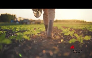 Agricoltura presentato a Roma il Manifesto per il Biocontrollo lalleanza per il futuro delle 364x230