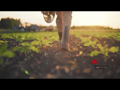 Agricoltura: presentato a Roma il Manifesto per il Biocontrollo, l’alleanza per il futuro delle