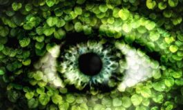 Allergie non solo pollini nemici degli occhi linquinamento aumenta fino a 9 volte il rischio di congiuntivite 265x160