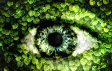 Allergie non solo pollini nemici degli occhi linquinamento aumenta fino a 9 volte il rischio di congiuntivite 364x230