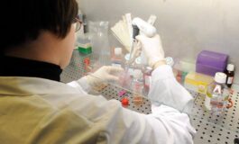 Bimbi Down da mamme giovani Dietro la sindrome anche una reazione autoimmune lo studio che cambia tutto 265x160