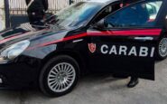 bisceglie cinque indagati per la morte della 12enne schiacciata da un albero 2