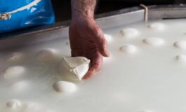 Consorzio di tutela della mozzarella di bufala campana Dop allarme aumento costi per crisi Iran possibili rialzi dei listini 265x160
