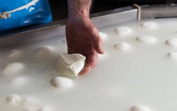 Consorzio di tutela della mozzarella di bufala campana Dop allarme aumento costi per crisi Iran possibili rialzi dei listini 364x230