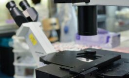 Cosi i tumori perdono il dono dellinvisibilita la nuova strategia in una ricerca italiana 265x160