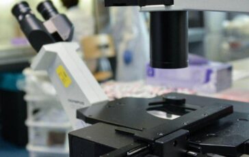 Cosi i tumori perdono il dono dellinvisibilita la nuova strategia in una ricerca italiana 364x230