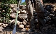 diritti umani giornata internazionale contro le mine anvcg chiede la protezione dei civili 2