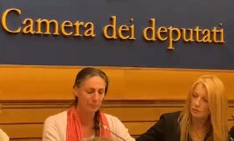 Famiglia nel bosco la mamma I miei figli stanno subendo una crudelta estrema 265x160