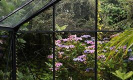 Fiere Casaidea dal 9 al 17 maggio tante idee per abitare la bella stagione 265x160