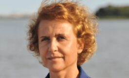 Fondazione Grins in arrivo Portale imprese di Amelia 265x160