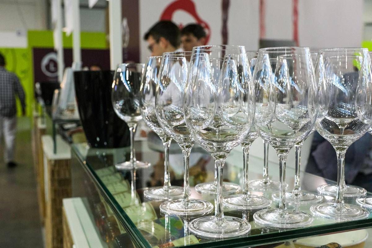 Gesmundo (Coldiretti): "Il vino italiano schiacciato da 2 Bibbie di leggi"