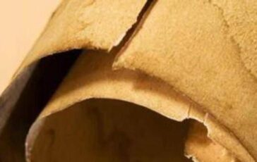 Iliade in una mummia in Egitto il chiarimento Papiro usato come imballaggio 364x230