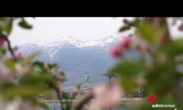 La fioritura in Trentino magia di colori nelle valli delle mele 265x160