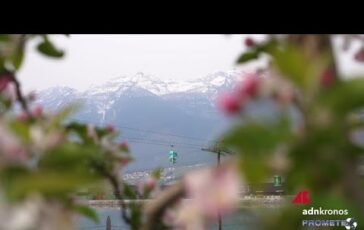 La fioritura in Trentino magia di colori nelle valli delle mele 364x230