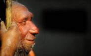 La rivincita delluomo di Neanderthal non fu soppiantato dai Sapiens perche meno intelligente﻿ 185x115