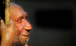 La rivincita delluomo di Neanderthal non fu soppiantato dai Sapiens perche meno intelligente﻿ 265x160