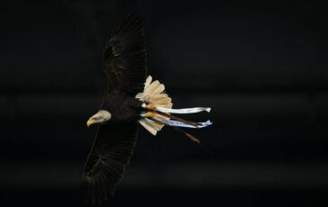 Lazio Flaminia vola ma. sbaglia strada atterraggio in Monte Mario 364x230