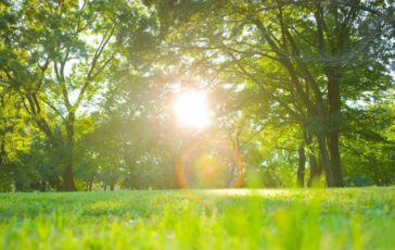 Meteo svolta clamorosa sole e 25°C a Pasqua e Pasquetta 364x230