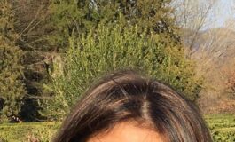 Mezzogiorno Gruppo di ricerca Grins su incentivi Zes contesto locale fa la differenza 265x160