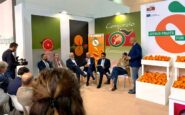 organizzazioni produttori nostro ruolo sempre piu centrale in mercato globale 2