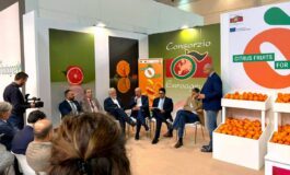 Organizzazioni produttori nostro ruolo sempre piu centrale in mercato globale 265x160