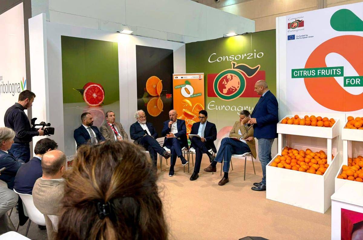 Organizzazioni produttori: nostro ruolo sempre più centrale in mercato globale