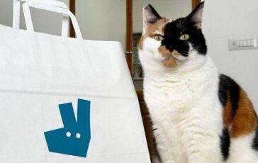 Pet day su Deliveroo il migliore amico delluomo e il gatto ordini doppi rispetto ai cani 364x230