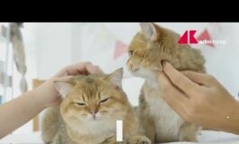 Pet economy un mercato che vale oltre tre miliardi 265x160